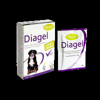 Diagel 20 g - 1 пакет