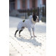 Комбінезон для собак WAUDOG Clothes малюнок "Бетмен лого", софтшелл, XS25, B 32-36 см, С 22-25 см