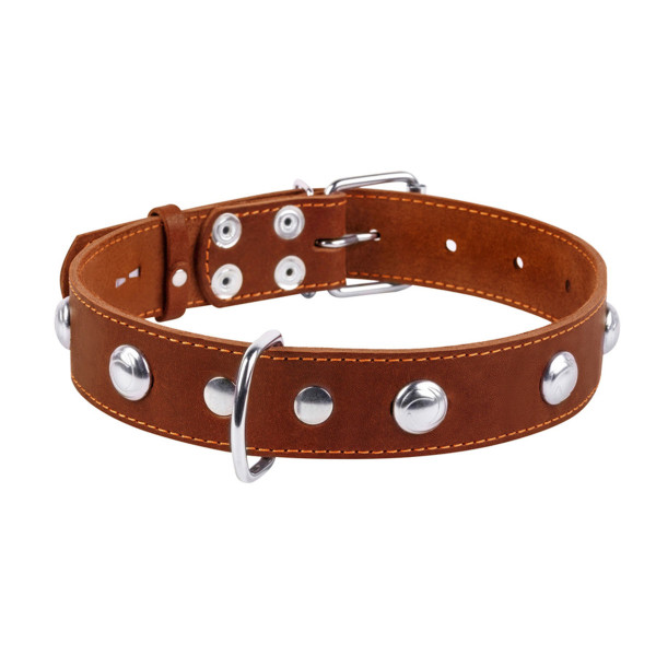Ошейник "CoLLaR" одинарный с украшениями (ширина 35мм, длина 48-63см) коричневый