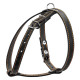 Шлей "CoLLaR" одинарная для малых пород собак (ширина 14мм, А:40-48см, В:43-51см) черный
