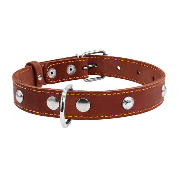 Ошейник "CoLLaR" одинарный с украшениями (ширина 20мм, длина 32-40см) коричневый