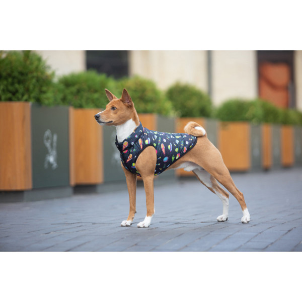 Курточка для собак WAUDOG Clothes малюнок "Рік та Морті 2", L55, В 77-80 см, С 50-55 см