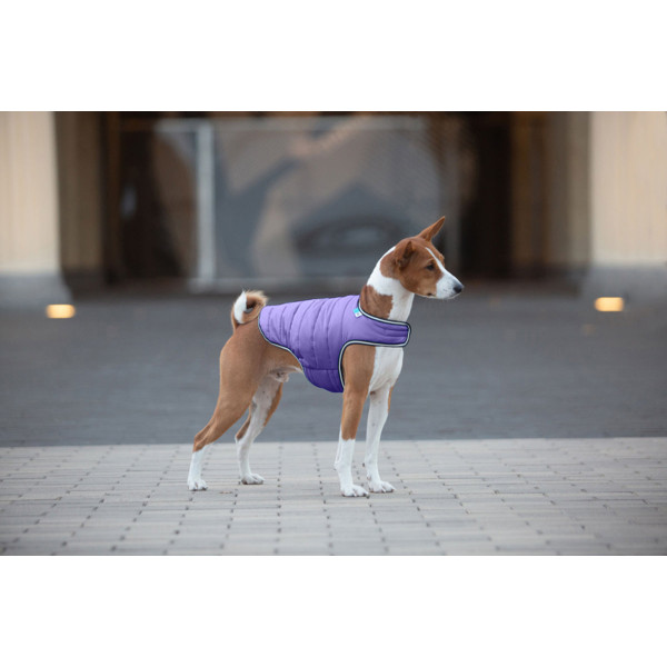 Куртка-накидка для собак AiryVest, XL, B 68-80 см, С 42-52 см фіолетовий