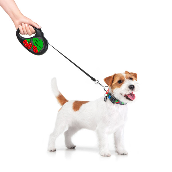 Поводок-рулетка для собак WAUDOG R-leash, рисунок "Калина", M, до 25 кг, 5 м, светоотражающая черная лента