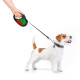 Поводок-рулетка для собак WAUDOG R-leash, рисунок "Калина", M, до 25 кг, 5 м, светоотражающая черная лента