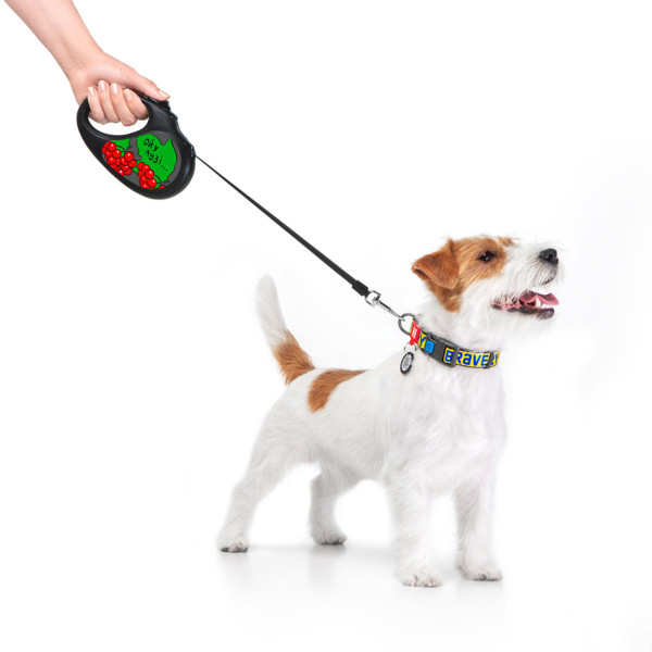 Поводок-рулетка для собак WAUDOG R-leash, рисунок "Калина", M, до 25 кг, 5 м, светоотражающая черная лента