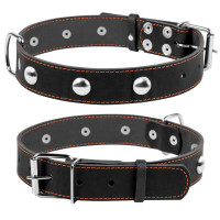 Ошейник "CoLLaR" одинарный с украшениями (ширина 35мм, длина 48-63см) черный