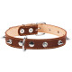 Ошейник "CoLLaR" двойной с шипами (ширина 25мм, длина 38-50см) коричневый
