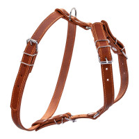 Шлей "CoLLaR" одинарная для малых и средних собак (ширина 20мм, А:40-56см, В:57-65см) коричневый
