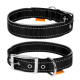 Нашийник "Dog Extreme" з нейлону, подвійний зі світловідбиваючою вставкою (ширина 20мм, довжина 30-40см), чорний