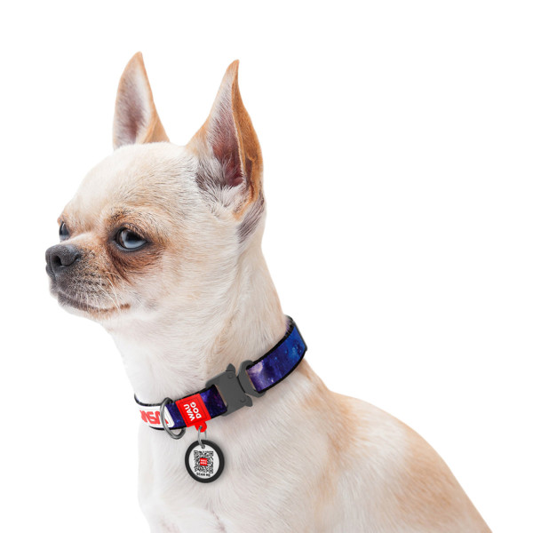 Нашийник для собак нейлоновий WAUDOG Nylon з QR паспортом, малюнок "NASA21", металева пряжка-фастекс, S, Ш 20 мм, Д 28-40 см