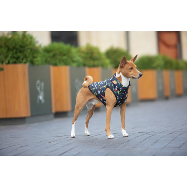 Курточка для собак WAUDOG Clothes малюнок "Рік та Морті 2", L65, В 87-90 см, С 60-65 см