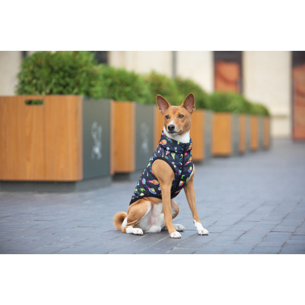 Курточка для собак WAUDOG Clothes малюнок "Рік та Морті 2", L65, В 87-90 см, С 60-65 см