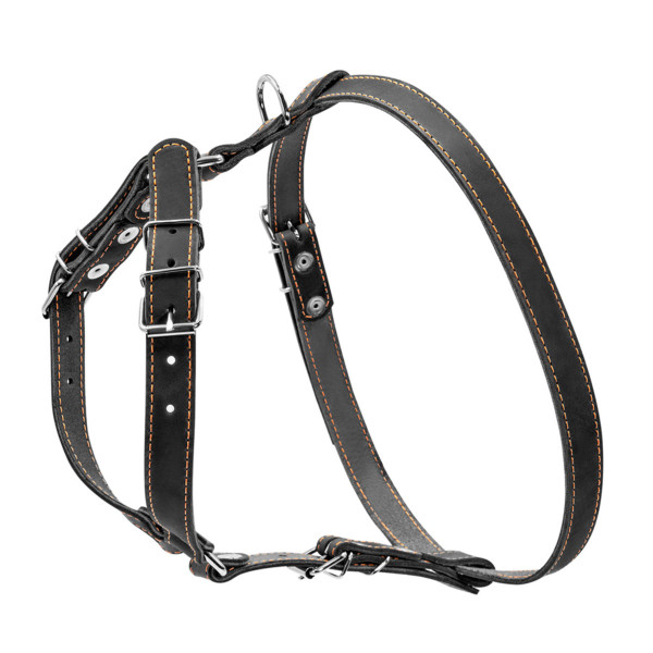 Шлей "CoLLaR" одинарная для малых и средних собак (ширина 20мм, А:40-56см, В:57-65см) черный