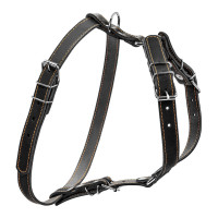 Шлей "CoLLaR" одинарная для малых и средних собак (ширина 20мм, А:40-56см, В:57-65см) черный
