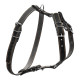 Шлей "CoLLaR" одинарная для малых и средних собак (ширина 20мм, А:40-56см, В:57-65см) черный