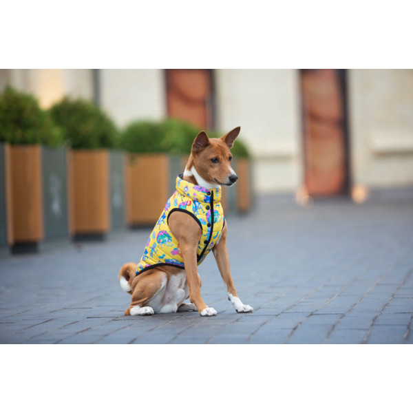 Курточка для собак WAUDOG Clothes малюнок "Рік та Морті 3", M50, В 76-79 см, С 55-61 см