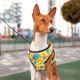 Шлей для собак мягкая WAUDOG Clothes с QR-паспортом, рисунок "Год и Морти 3", S1 B 40-45 см, C 29-31 см