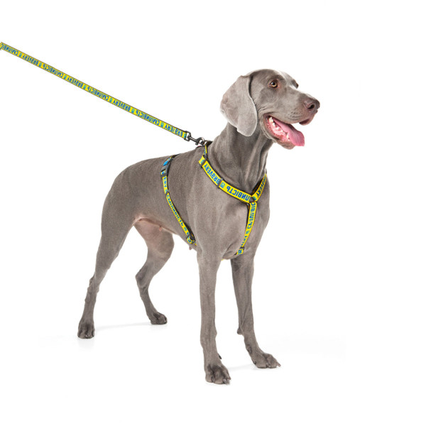 Повідець для собак нейлоновий WAUDOG Nylon, малюнок "Сміливість", M, Ш 20 мм, Дл 122 см