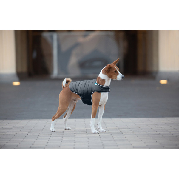Курточка-накидка для собак AiryVest, M, B 52-62 см, С 36-47 см чорний