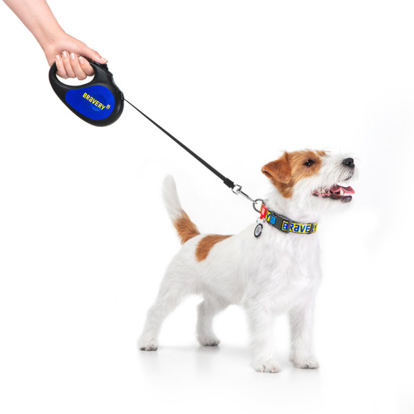 Повідець-рулетка для собак WAUDOG R-leash, малюнок "Сміливість", M, до 25 кг, 5 м, світловідбиваюча стрічка чорний