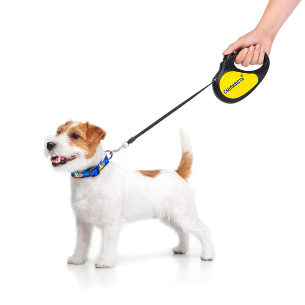 Повідець-рулетка для собак WAUDOG R-leash, малюнок "Сміливість", M, до 25 кг, 5 м, світловідбиваюча стрічка чорний