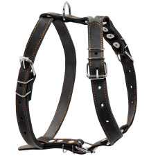 Шлея "CoLLaR" одинарна для середніх собак (ширина 25мм, А:49-68см, В:68-80см) чорний