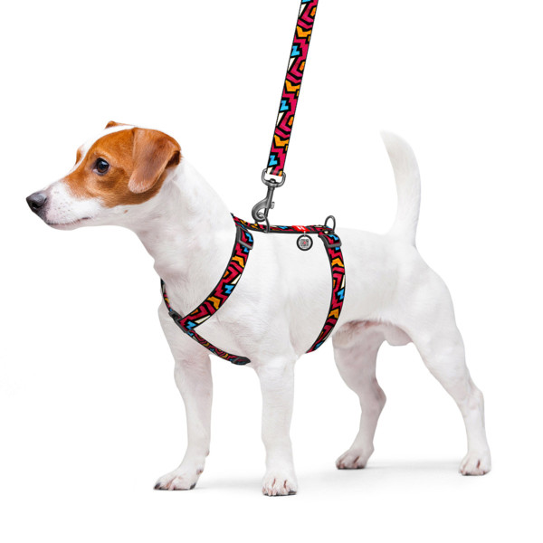 Шлея для собак анатомічна H-подібна WAUDOG Nylon з QR-паспортом, малюнок "Графіті", пластиковий фастекс, М, Ш 20 мм, А 40-70, В 50-80