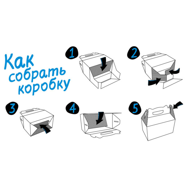 Коробка-переноска ТелеПет (455х220х435мм)
