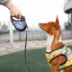 Повідець-рулетка для собак WAUDOG R-leash, малюнок "Рік та Морті 1", L, до 50 кг, 5 м, світловідбиваюча стрічка чорний