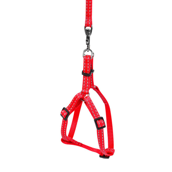 Брея "Dog Extreme" из нейлона регулируемая с поводком для кошек, кроликов и морских свинок (ширина 10мм, В:28-40см) красный