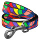 Повідець для собак нейлоновий WAUDOG Nylon, малюнок "Вітраж", Ш 20 мм, Дов 122 см