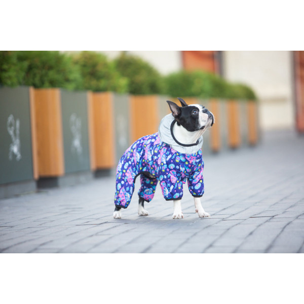 Комбінезон для собак WAUDOG Clothes малюнок "Рік та Морті 1", S40, В 58-61 см, С 33-38 см