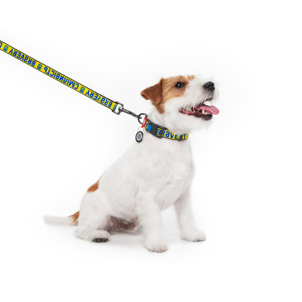 Ошейник для собак нейлоновый WAUDOG Nylon с QR паспортом, рисунок "Смелость", пластиковый фастекс, L, Ш 25 мм, Д 33-49 см