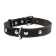 Ошейник "CoLLaR" одинарный с украшениями (ширина 25мм, длина 38-50см) черный