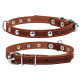 Ошейник &Cot;CoLLaR одинарный с украшениями (ширина 14мм, длина 27-35см) коричневый