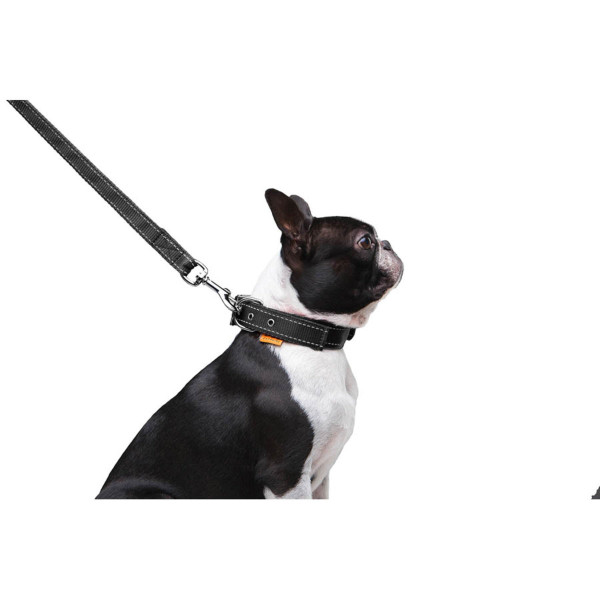 Поводок "Dog Extreme" из нейлона двойной (ширина 20мм, длина 122см), черный
