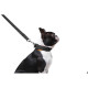 Поводок "Dog Extreme" из нейлона двойной (ширина 20мм, длина 122см), черный