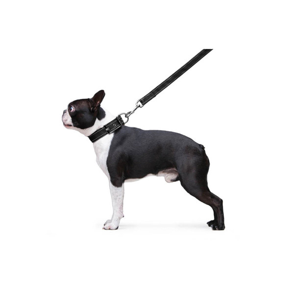 Поводок "Dog Extreme" из нейлона двойной (ширина 20мм, длина 122см), черный
