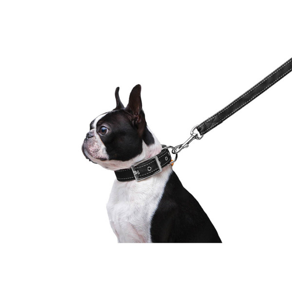 Поводок "Dog Extreme" из нейлона двойной (ширина 20мм, длина 122см), черный