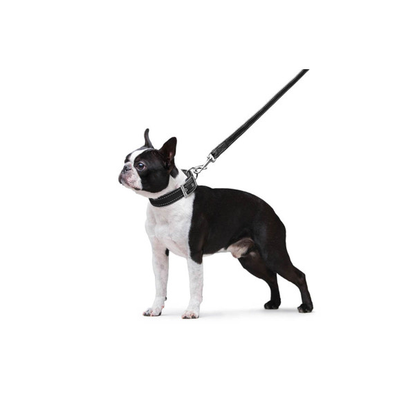 Поводок "Dog Extreme" из нейлона двойной (ширина 20мм, длина 122см), черный