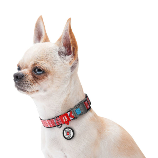 Ошейник для собак нейлоновый WAUDOG Nylon с QR паспортом, рисунок "Этно красный", пластиковый фастекс, Ш 25 мм, Длин 33-49 см