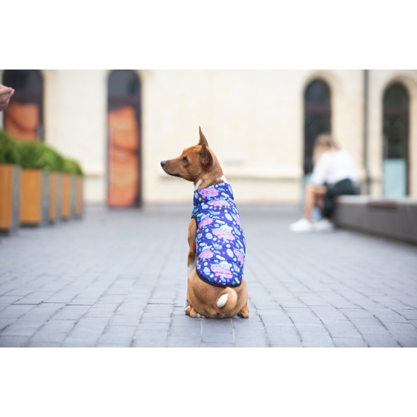 Курточка для собак WAUDOG Clothes малюнок "Рік та Морті 1", M50, В 76-79 см, С 55-61 см