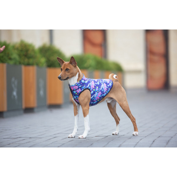 Курточка для собак WAUDOG Clothes малюнок "Рік та Морті 1", M50, В 76-79 см, С 55-61 см