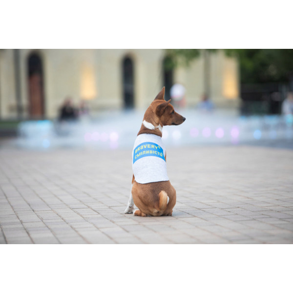Майка для собак WAUDOG Clothes рисунок "Смелость", S30, B 54-60 см, С 33-38 см