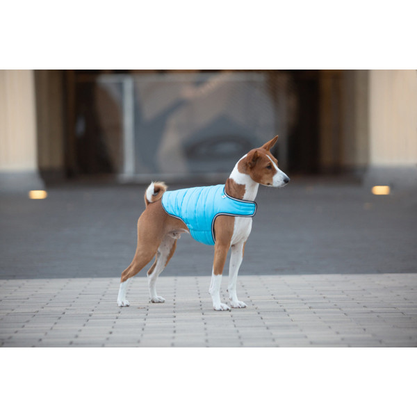 Куртка-накидка для собак AiryVest, XL, B 68-80 см, С 42-52 см блакитний