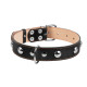 Ошейник "CoLLaR" двойной с украшениями (ширина 35мм, длина 48-63см) черный