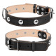Ошейник "CoLLaR" двойной с украшениями (ширина 35мм, длина 48-63см) черный