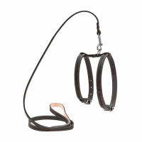 Шлей "CoLLaR" с поводком для малых собак (ширина 14мм, дл. 122см) черный