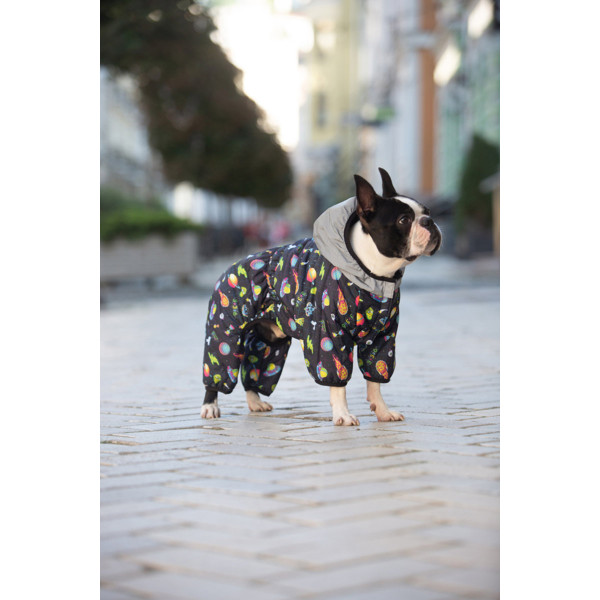 Комбінезон для собак WAUDOG Clothes малюнок "Рік та Морті 2", S35, В 52-55 см, С 31-36 см